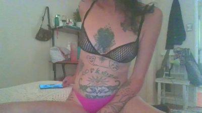 1gatamelosa
