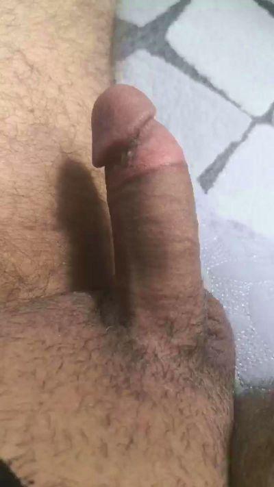 35sertsikici
