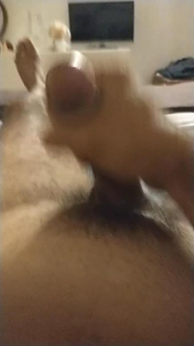 81024