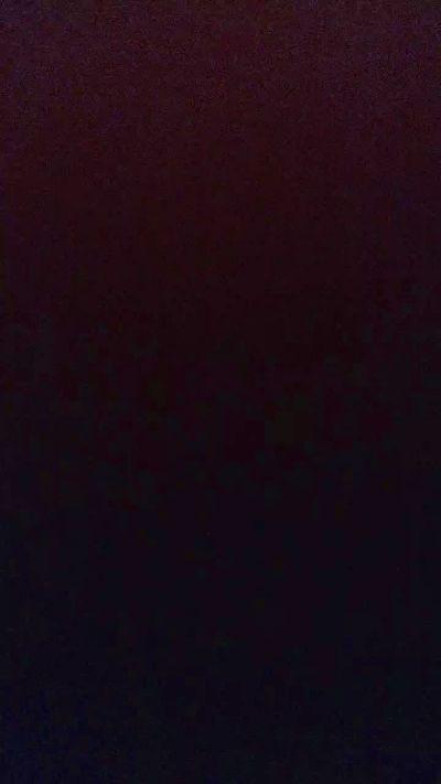 Aguia_85