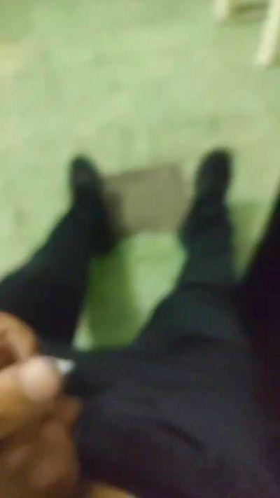 Alecasla2_Po