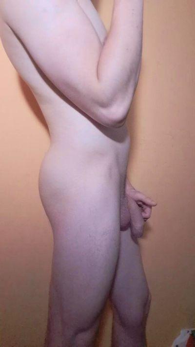 Alecedr