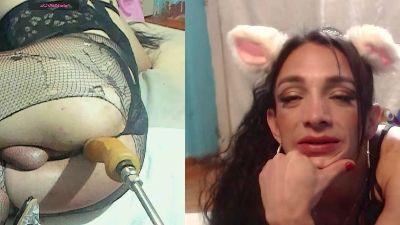 Alondra_domina