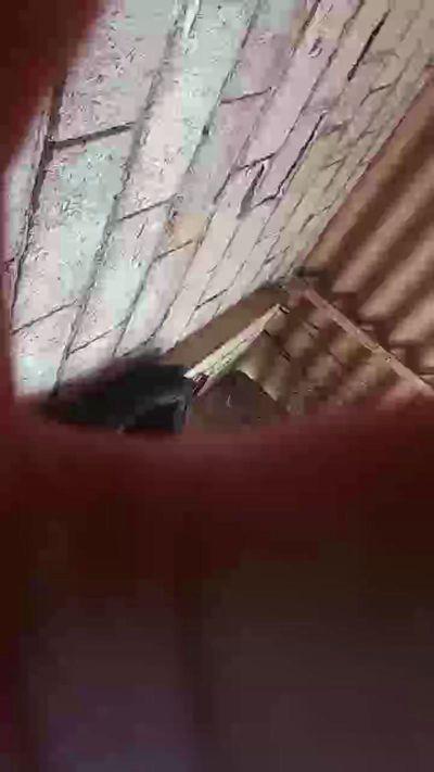 Andreinahot1