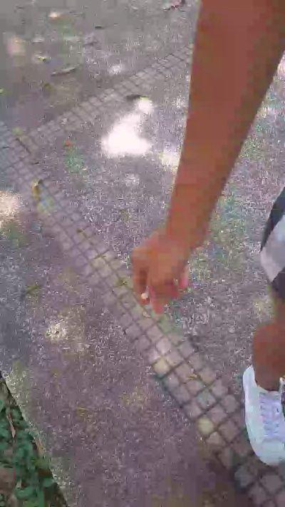 Antonella_kitty