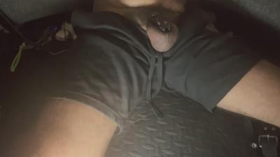 Arab_Panda