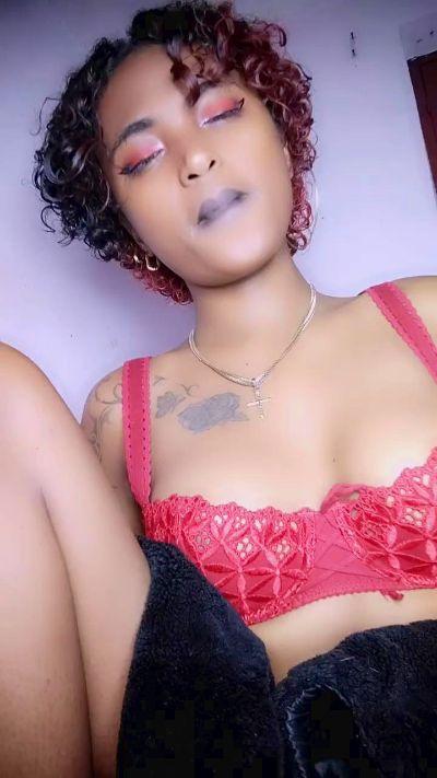 Armella2