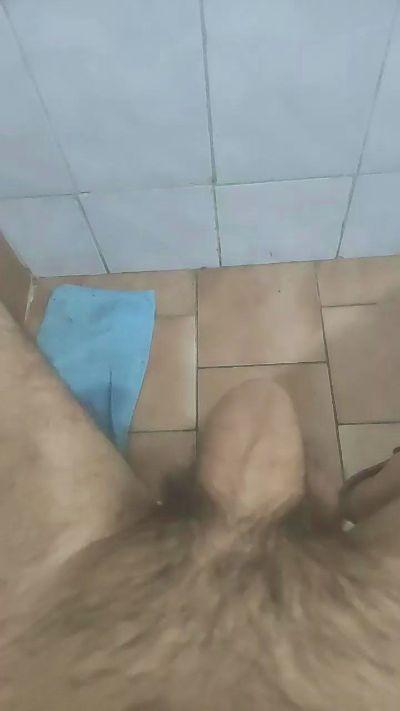 Aviecl