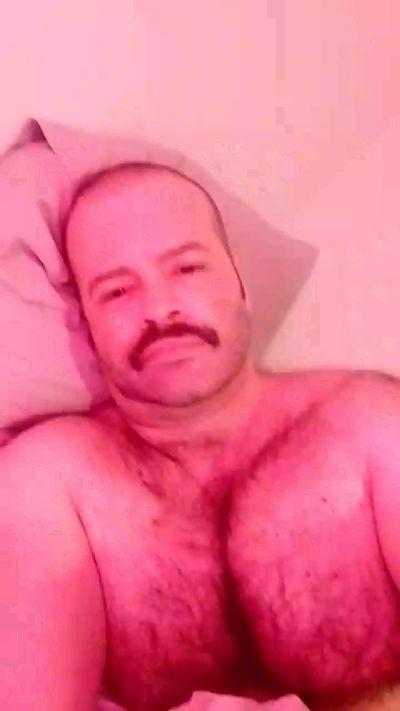 BearPeludo40
