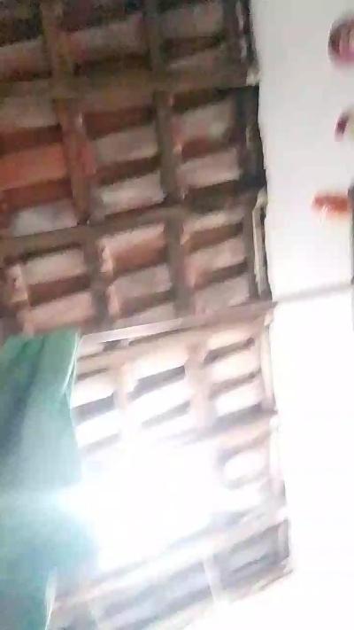 Bellanininha