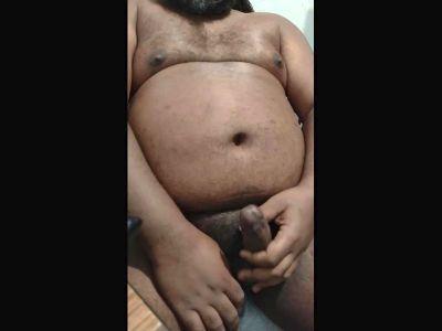 Black_Bear1