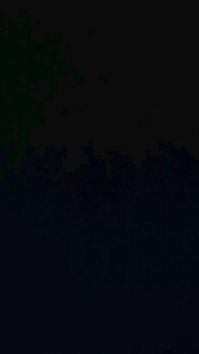 Blackorchid99