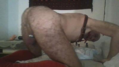 Bonnpute