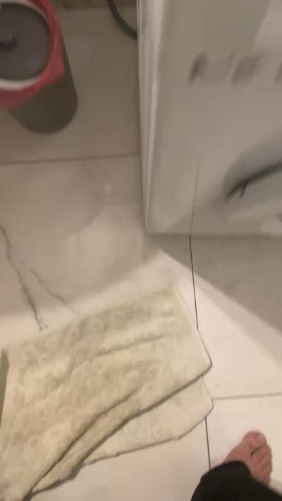 BrazilYoungBull