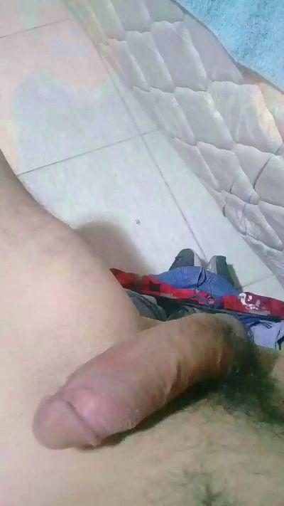 Bulvs