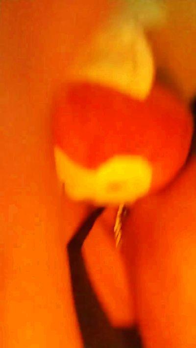 Cachond034