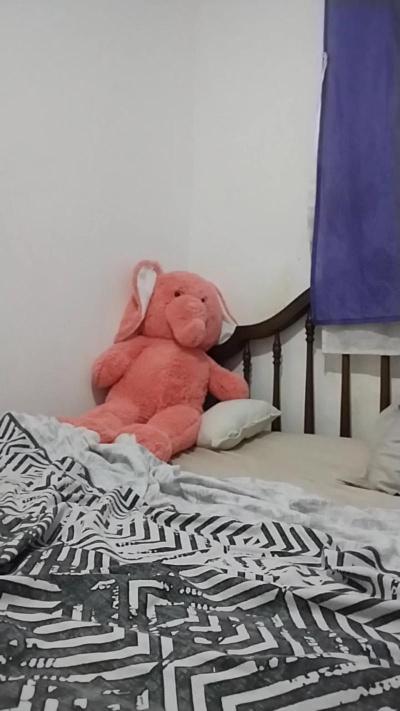 Camigemido