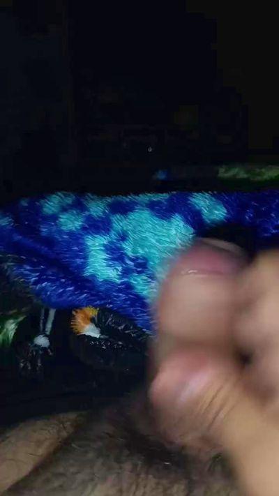 ChicoCalien03