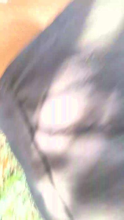 Cleberflo