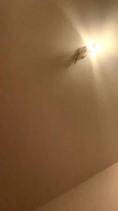 CockDude