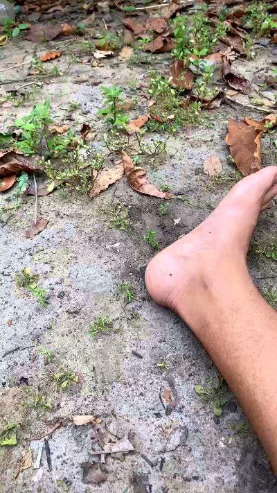 DDcurioso1010