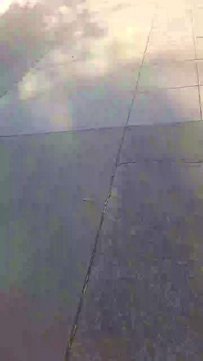 Danishot232581