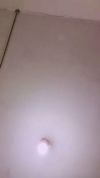 Danitapaz420