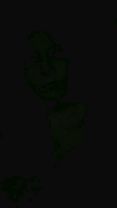 Deisy222