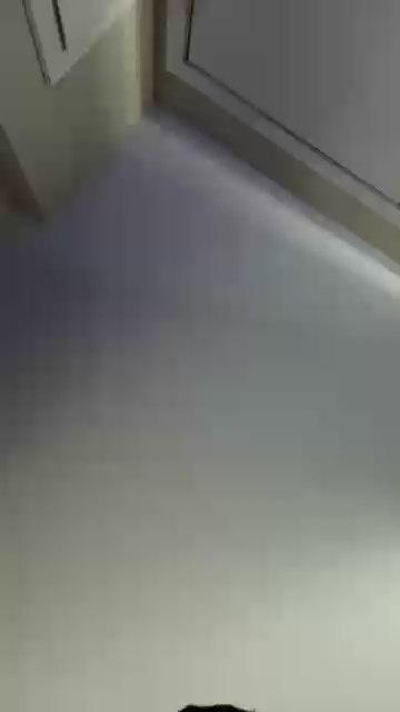 Demo5353