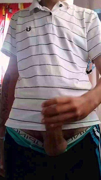 Didi19cm