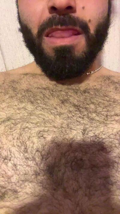 Diebull