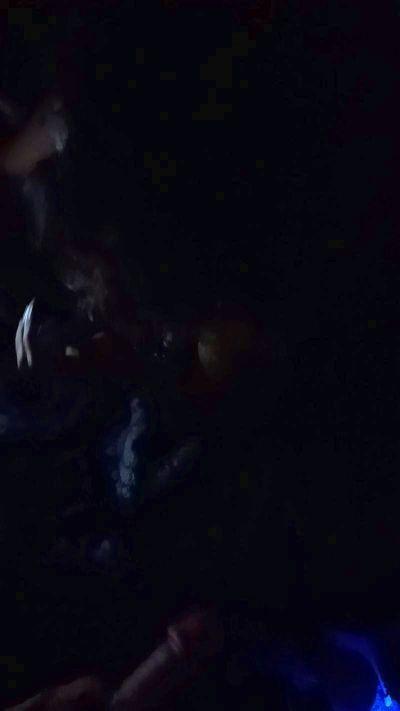 Disdickisa1