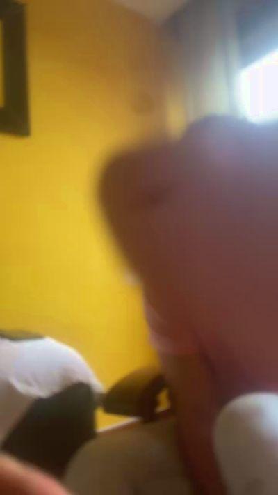 DominoDrake