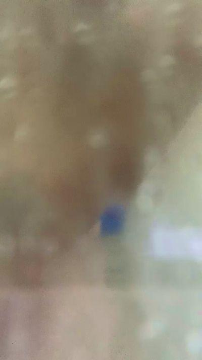 DotadoMT19