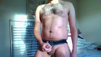 DreamsOfSpeedo
