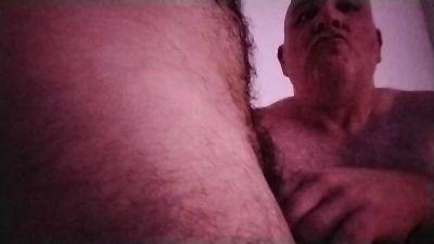 FFBearBerlin