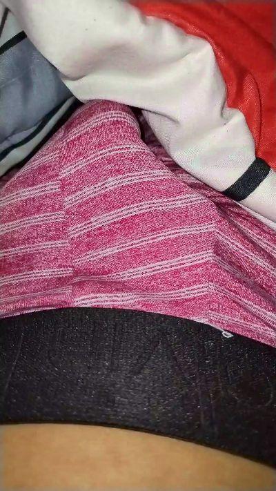 Falopardo