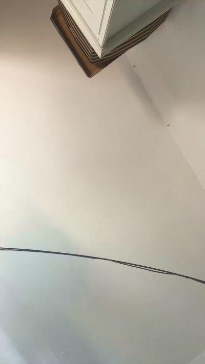 FbullCT