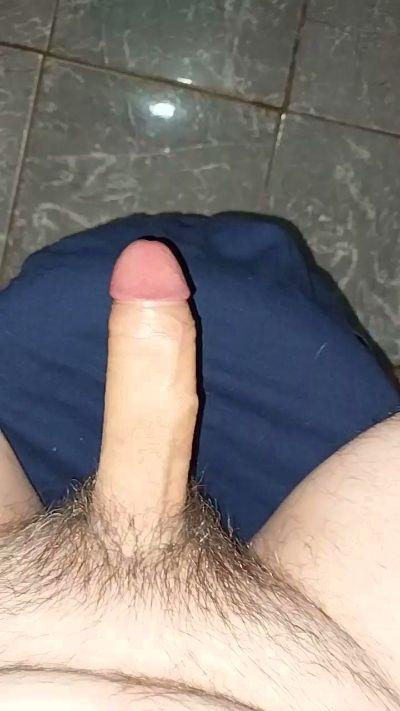 Fiz96