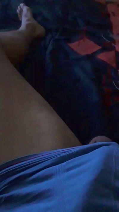 Gato_do_norte