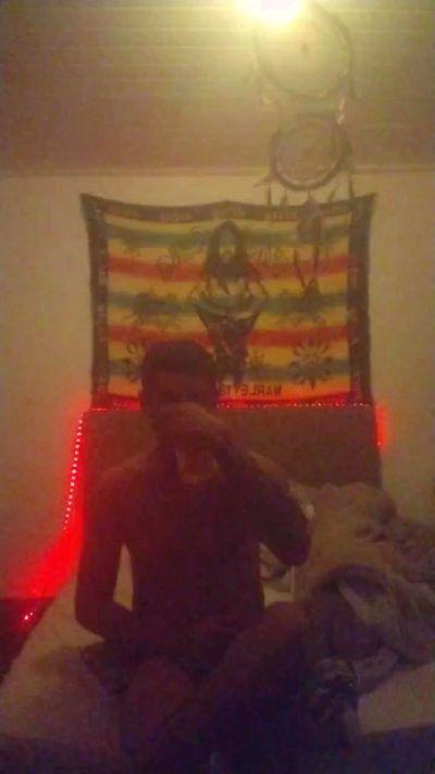 Gatohetero24