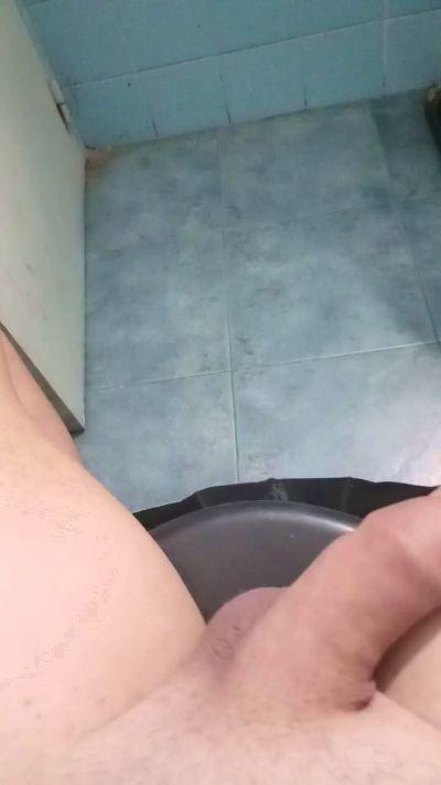 Genesis219