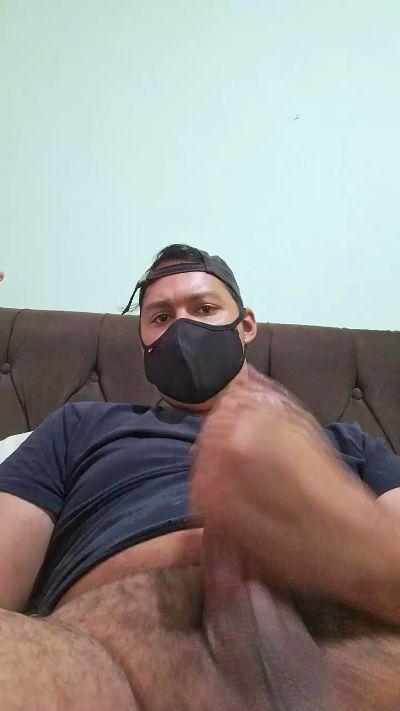 Guiboy