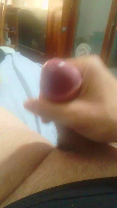 Gustami