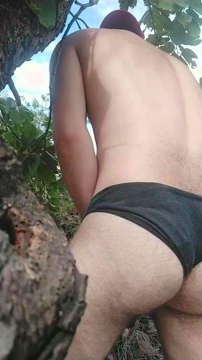 Gustav194