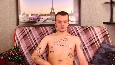 Gypsy_stallion