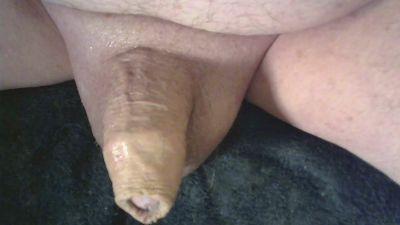 HORSEDICK