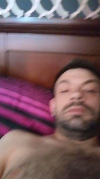 Hazardellii