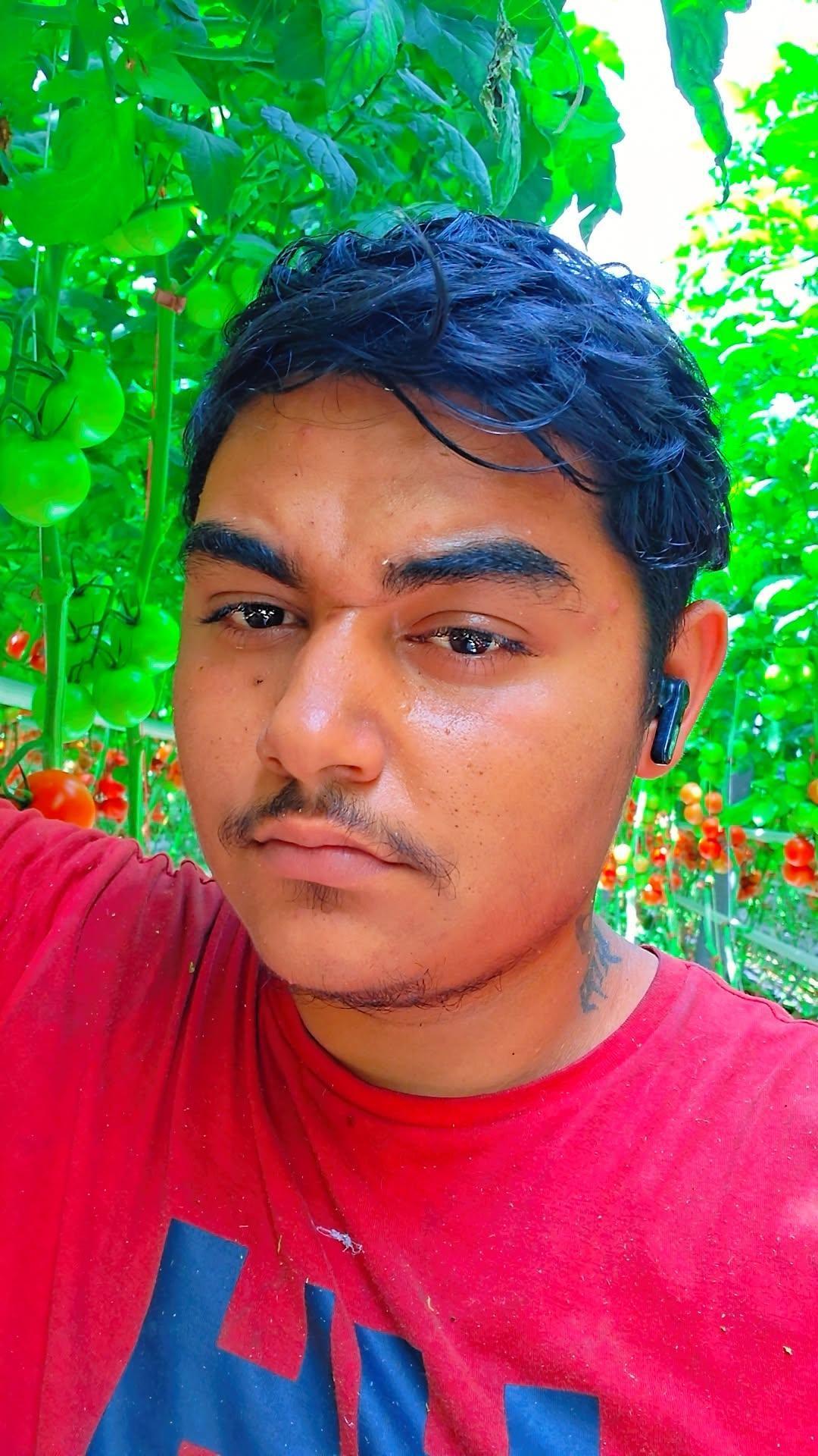 Horvathhajni09