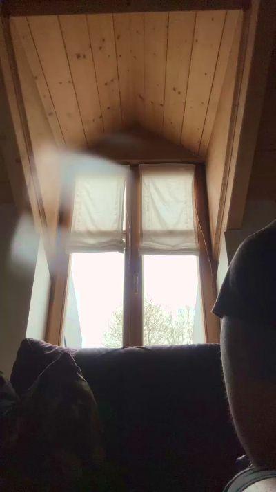 Hotpaar15